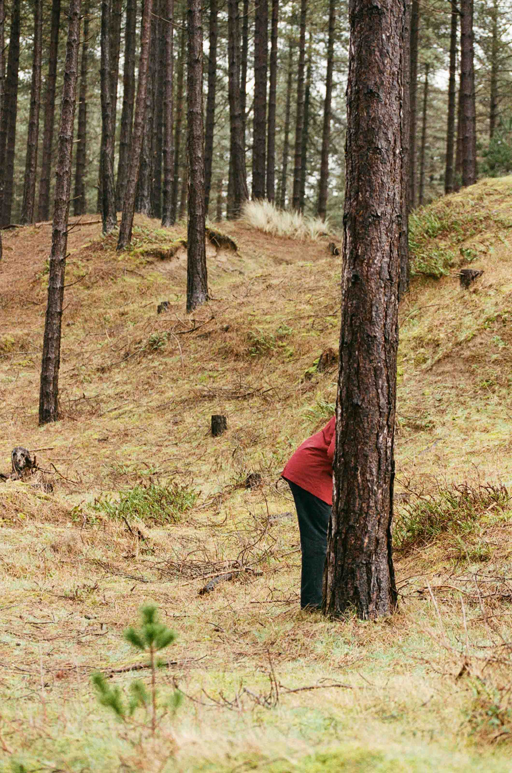 Gallery images of the BATCH NO.17 - PAYNTER RED - MEN'S