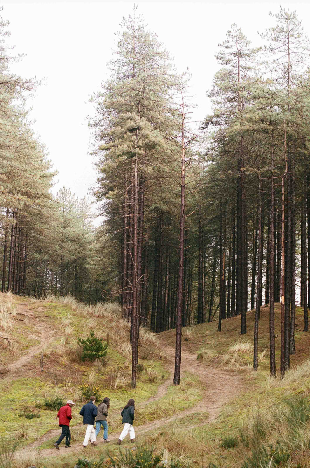 Gallery images of the BATCH NO.17 - PAYNTER RED - MEN'S