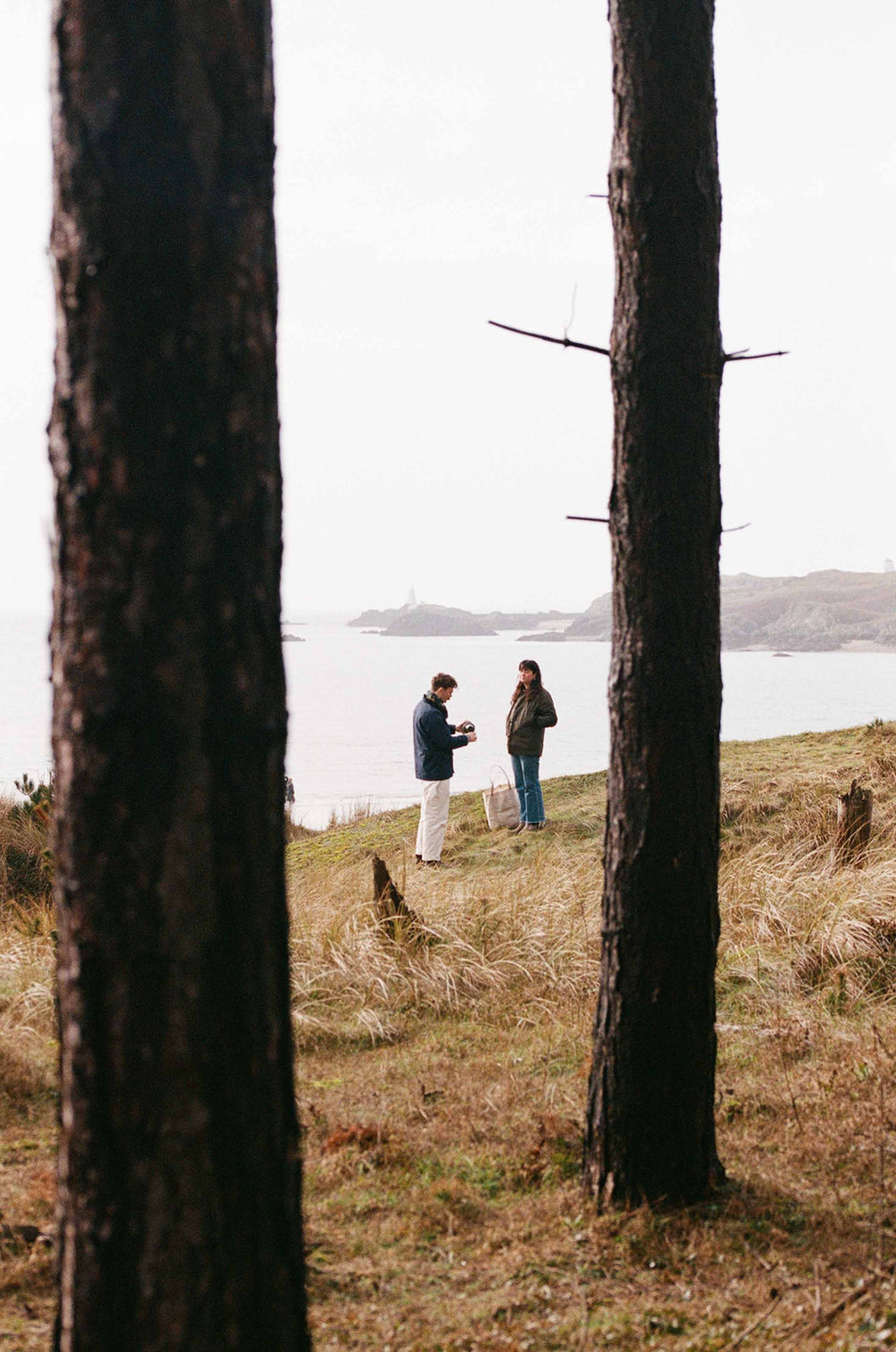 Gallery images of the BATCH NO.17 - LIGHTWEIGHT MIDNIGHT BLUE (FABRIC SAMPLE)