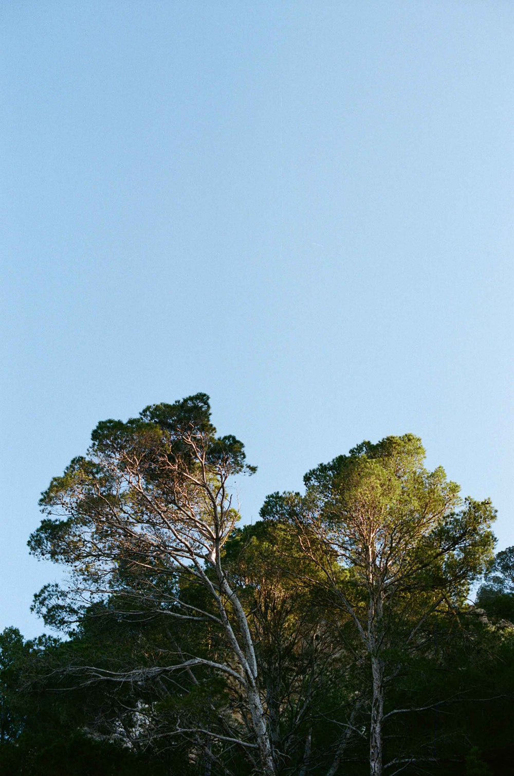 Gallery images of the BATCH NO.14 - BILL'S BLUE - MEN'S