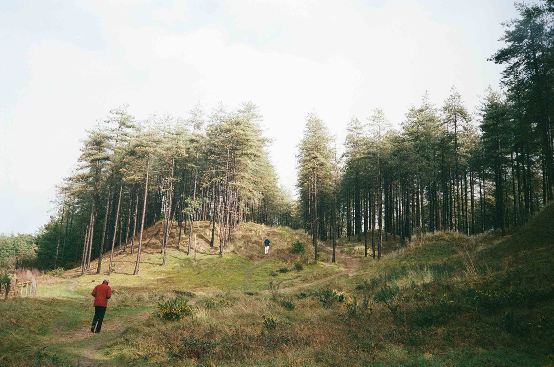 Gallery images of the BATCH NO.17 - PAYNTER RED - MEN'S