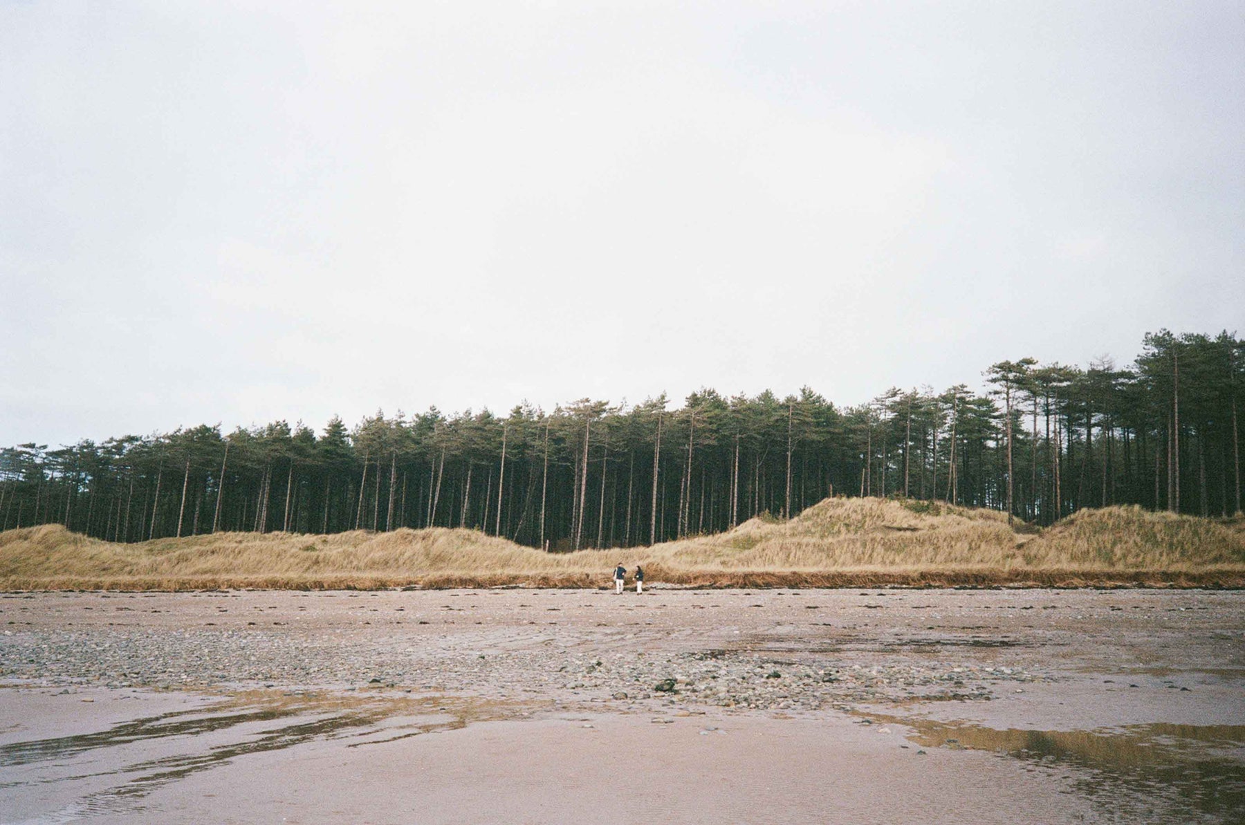 Gallery images of the BATCH NO.17 - ARCHIVE OLIVE - MEN'S