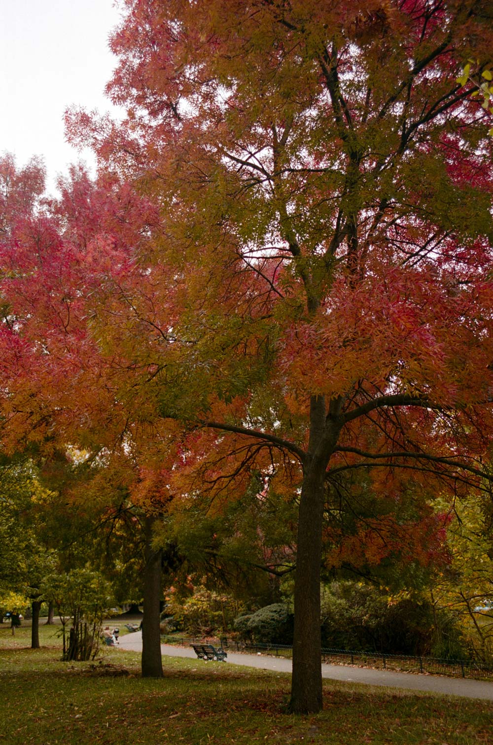 Gallery images of the MEN'S BATCH NO.22 - BARK BROWN