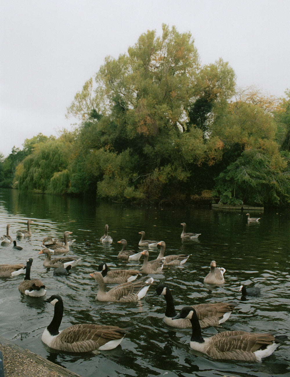 Gallery images of the MEN'S BATCH NO.22 - BARK BROWN