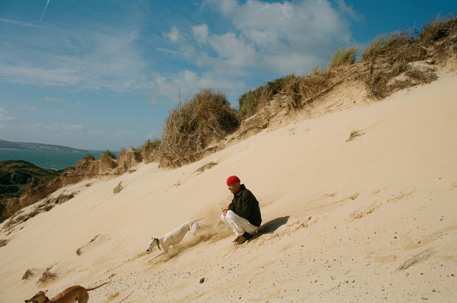 Gallery images of the MEN'S BATCH NO.22 - PINE GREEN