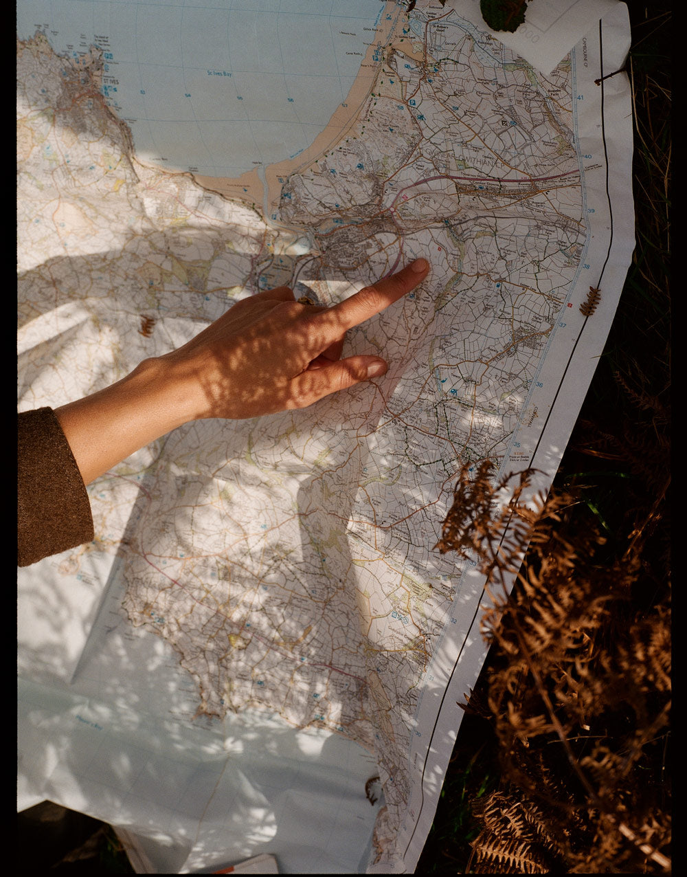 Gallery images of the WOMEN'S BATCH NO.22 - BARK BROWN