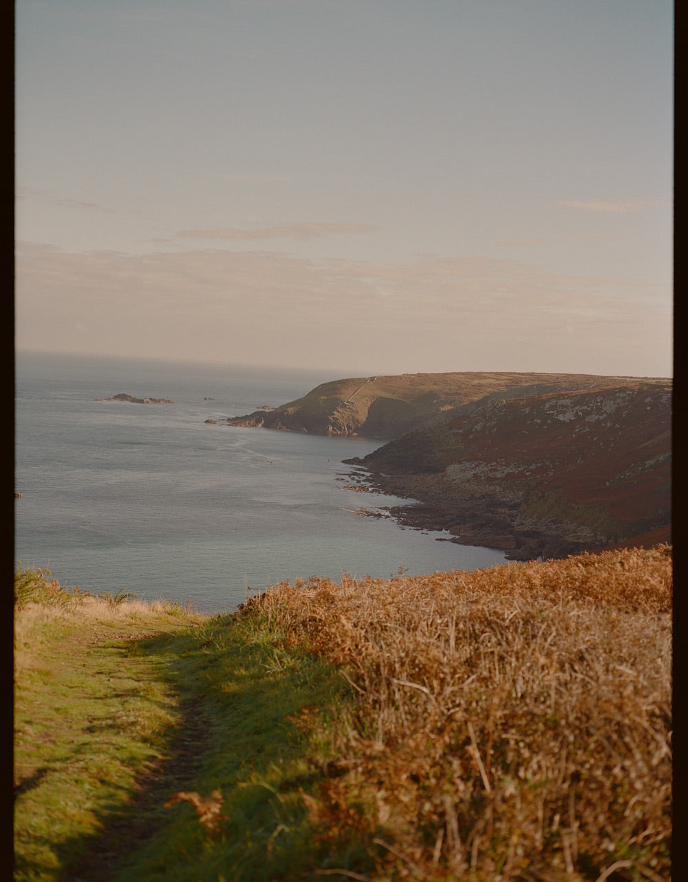 Gallery images of the WOMEN'S BATCH NO.22 - BARK BROWN