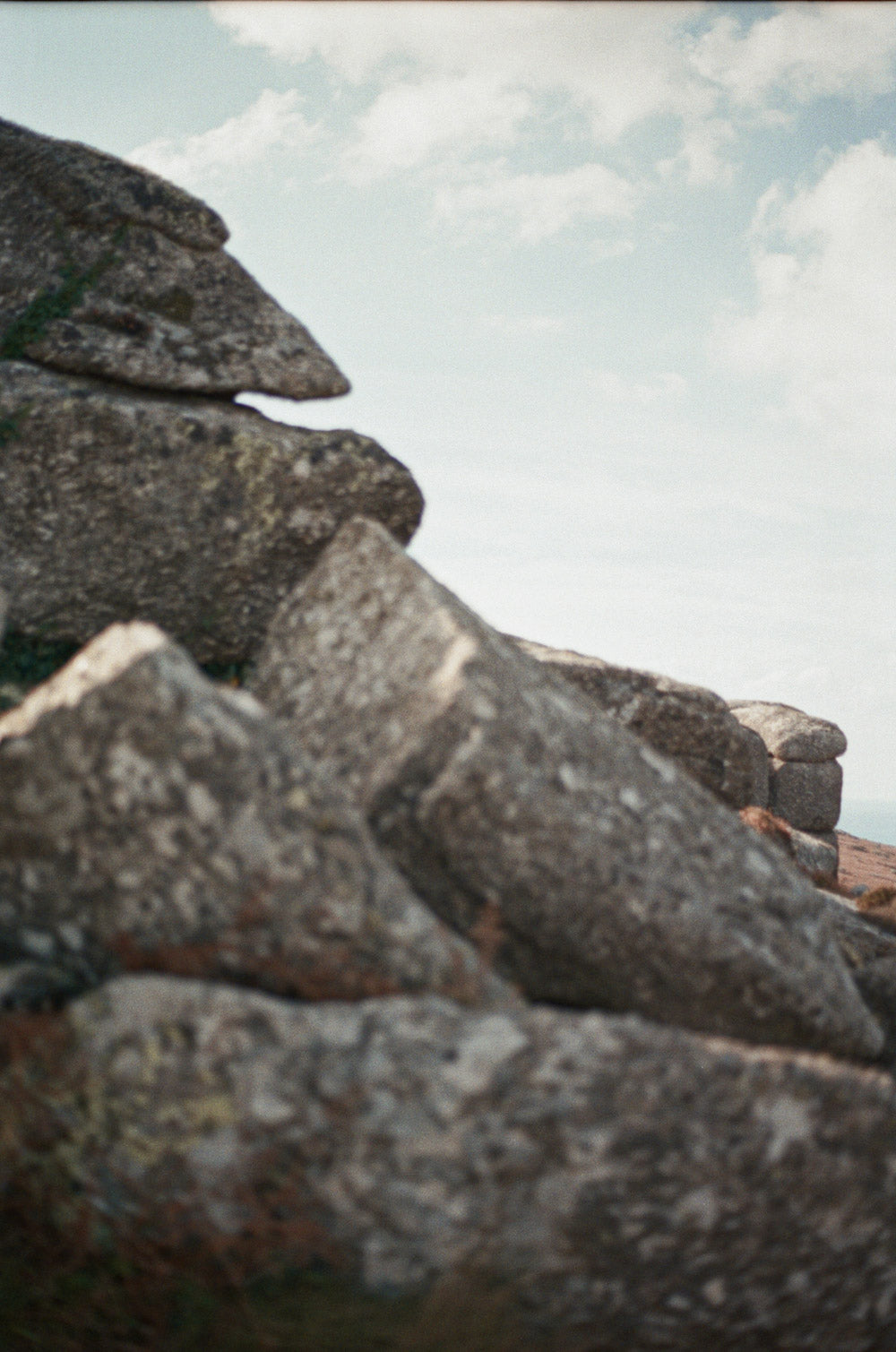 Gallery images of the WOMEN'S BATCH NO.22 - CHARCOAL