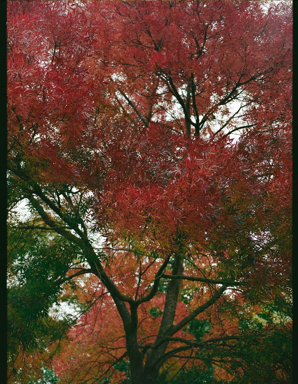 Gallery images of the WOMEN'S BATCH NO.22 - DEEP NAVY