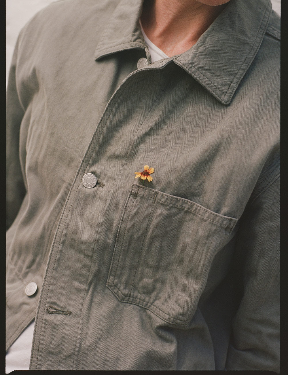 Gallery images of the MEN'S BATCH NO.24 - SAGE